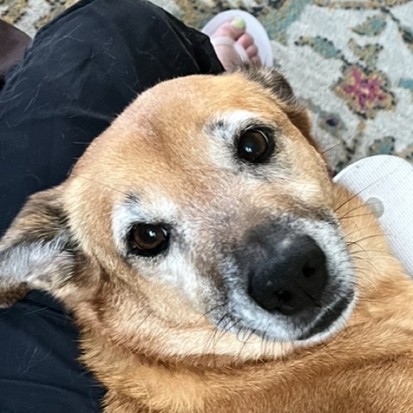 Meet your Posher, Diane - Picture 1 of 1